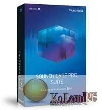 Magix Sound Forge Pro Suite 15 Lasplus