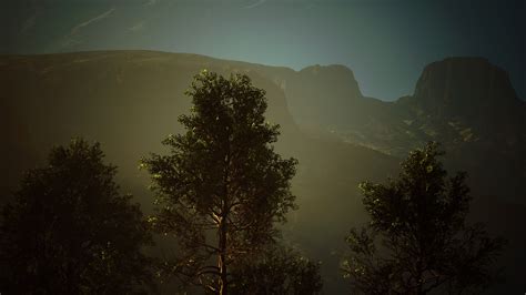 Pine trees and Huangshan mountains in China 6131520 Stock Video at Vecteezy