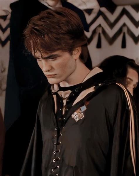 Harry Potter And The Goblet Of Fire 2005 Cedric Diggory Cedric