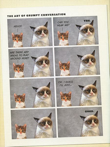 Grumpy Cat A Grumpy Book Cheaper Than A Shrink