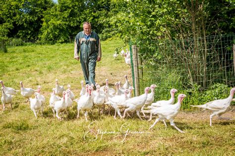 Photographe Dans Un Levage De Dindes Photographies De L Agriculture