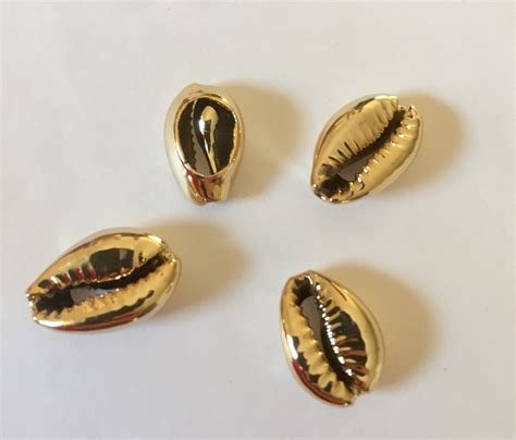 Lot 2 Natural Golden Cowrie Shells 13 18mm Natural South Pacific