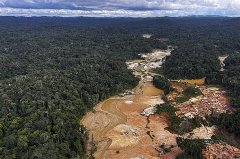 Illegal Mining In The Brazilian Amazon Life On The Edge