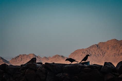 From Cairo Overnight Trip To St Catherine Monastery And Mount Sinai