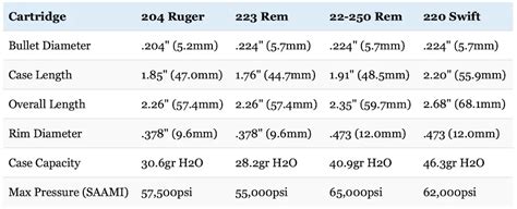 22-250 vs 223 vs 204 Ruger vs 220 Swift: Clash Of The Speed Demons