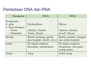 Substansi Genetika PPT