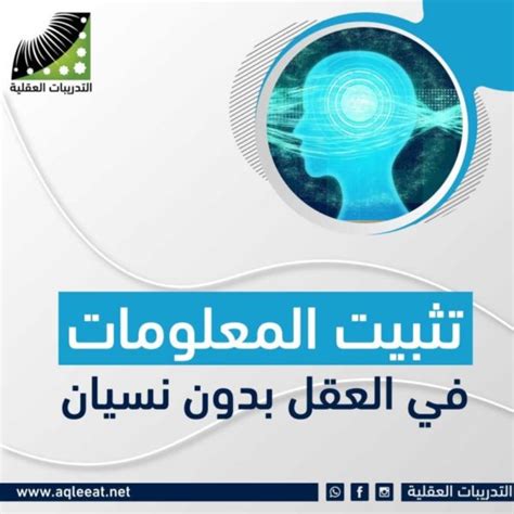 تثبيت المعلومات في العقل شبكة التدريبات العقلية ودورة انعاش العقل