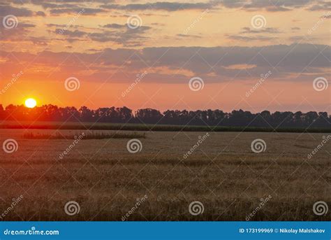 Sunrise Over The Fields Of Grain On The First Day Of Summer Stock Image