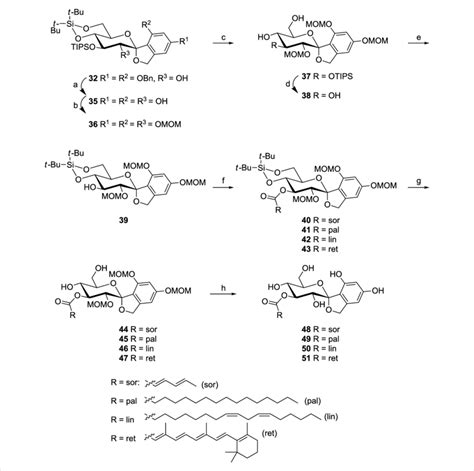 Scheme 4 A Pd C Nahco 3 H 2 Thf Rt 1 5 H 98 B Momcl Download Scientific Diagram