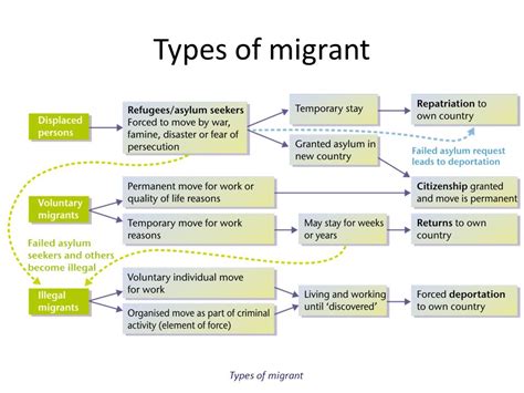 Cause And Effect Of Migration