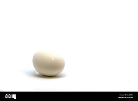 Single Egg Isolated In White Background For Health And Nutrition