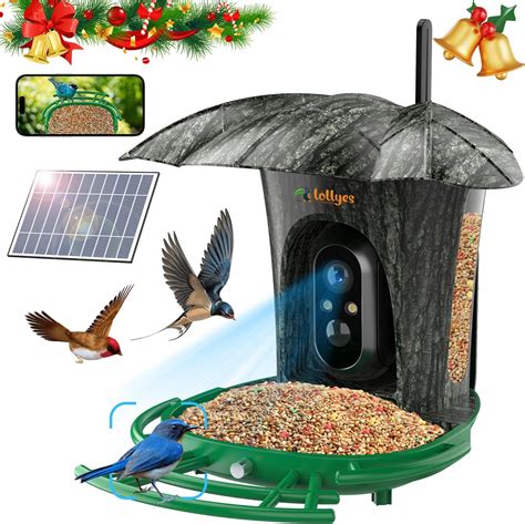 Amazon.com: NUOTUN Smart Bird Feeder Camera with Solar - Bird Watching ...