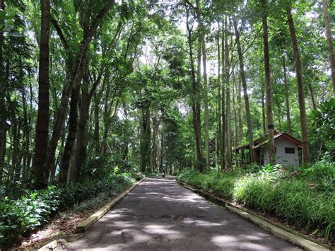 Taman Hutan Raya Ir H Djuanda Tahura Bandung Salsa Wisata