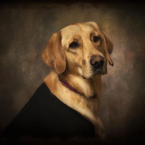 Labrador Retriever Digital Art By Tinto Designs Fine Art America