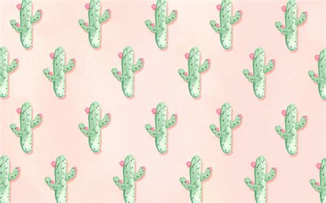 Cute Cactus Wallpapers - Top Free Cute Cactus Backgrounds - WallpaperAccess