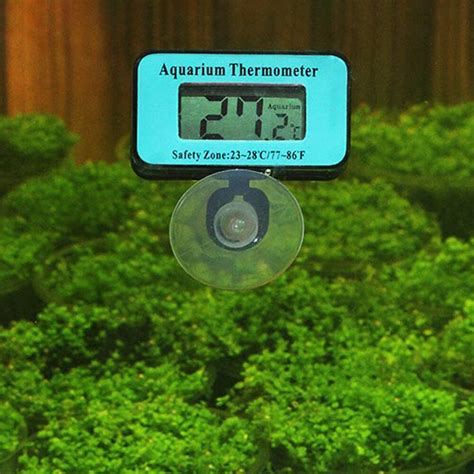 Zuignap Digitale Aquarium Aquarium Koelkast Thermo Grandado