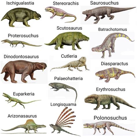 An Image Of Different Types Of Dinosaurs