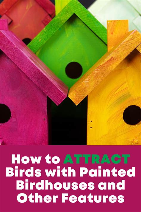 How To Attract Birds With Painted Birdhouses And Other Features