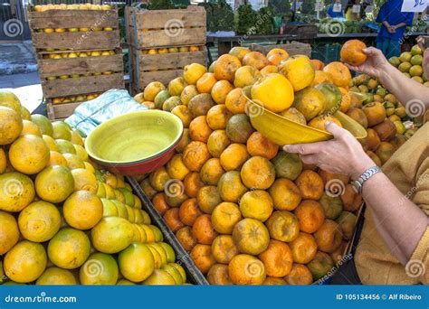 Orange Fruits At Street Market Stock Photo Image Of Exotic
