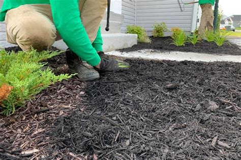 Premium Mulching Services In Winchester Va Irish Lawn And Landscaping