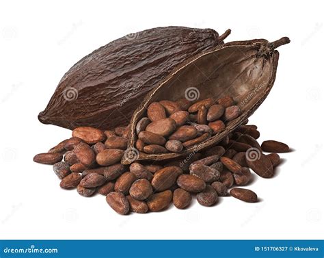 Whole And Half Cocoa Pod With Raw Beans Isolated On White Background