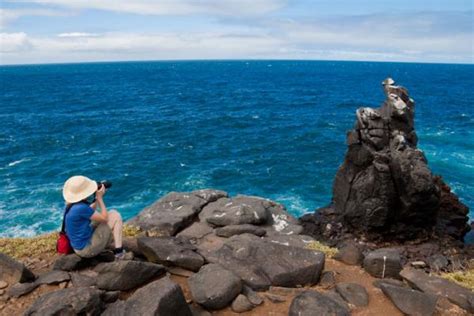 8 Day Luxury Eastern Galapagos Islands Cruise On Cormorant Ii