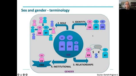 Incorporating Sex And Gender In Biomedical Research Sabine Oertelt Prigione Md Phd Msc Youtube