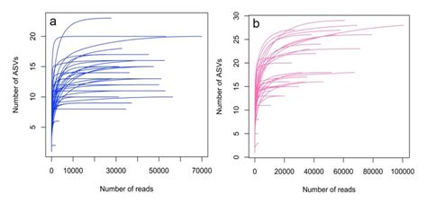 Rarefaction Curves Rarefaction Curves Presenting The Relationship