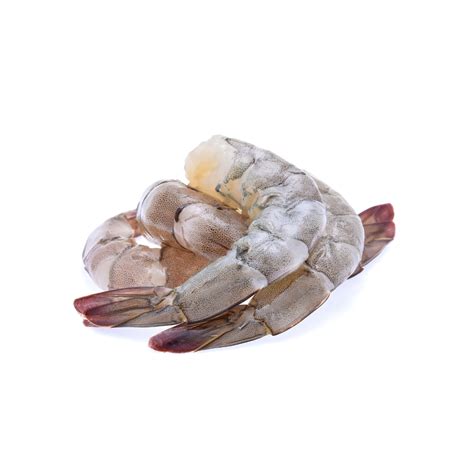 Premium Wild Caught Gulf Shrimp Shell On Headless White 16 20 Paul