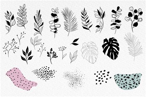 Abstract Shapes Plants By Elena Dorosh TheHungryJPEG