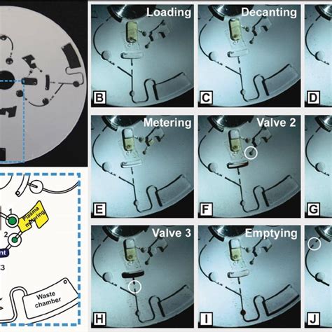 Centrifugal Microfluidic System With Multiple Df Valves Outlining