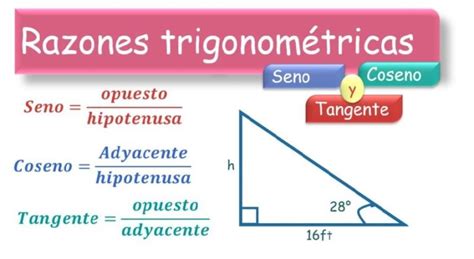 ℹ Razones Trigonométricas Características Y Funciones ️