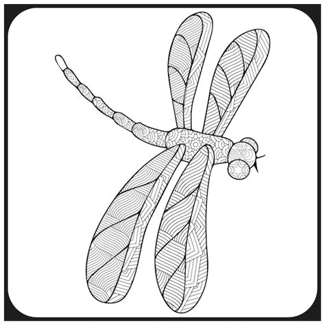 Premium Vector Dragonfly Coloring Book For Adults