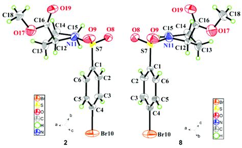 A Perspective View Of And Showing The Atom Labelling Scheme