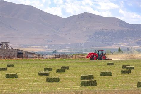Tractor Working On The Fields Stock Image Image Of Crop Season
