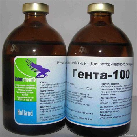 genta  ml loopyvet