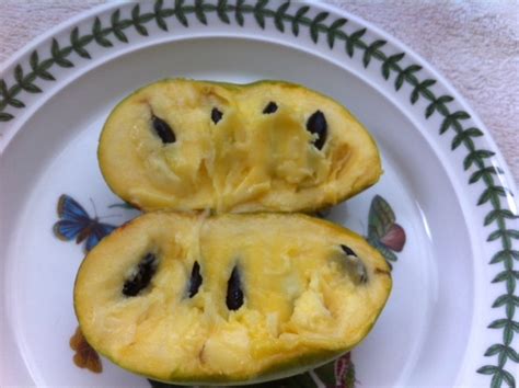 Pawpaw Varieties - General Fruit Growing - Growing Fruit