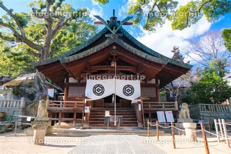 広島県尾道市 艮神社 拝殿の写真素材 [207716881] イメージマート