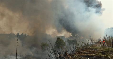 Roma Grosso Incendio Vicino Al Viadotto Della Magliana Chiuso Il