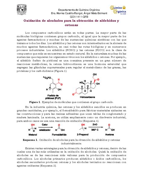 Oxidaci N De Alcoholes Para La Obtenci N De Aldeh Dos Y Cetonas Dra