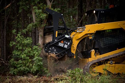 Hm416 Hawthorne Cat