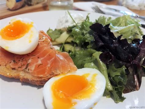 Sandes de Salmão Fumado Iguaria Receita e Culinária