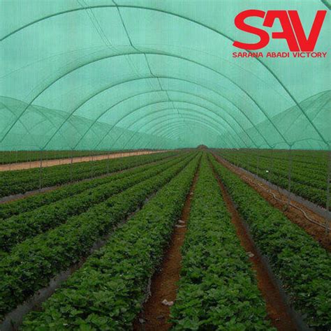 Jual Jaring Kasa Hijau Dan Putih Roll 50 Meter Insect Net Screen HDPE