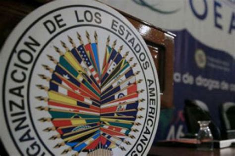 La Oea Aprueba Una Resoluci N Que Pide Publicar Las Actas Electorales