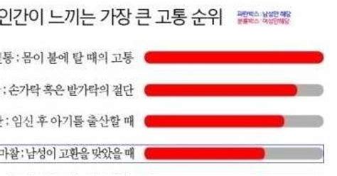 인간이 느끼는 고통 순위 안 당해봤으면 말을 하지마