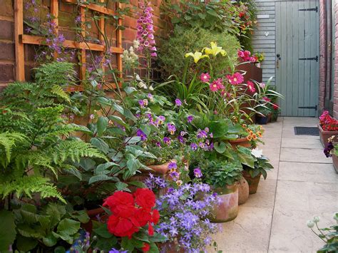 Lots Of Pots Patio Garden Courtyard Garden Garden