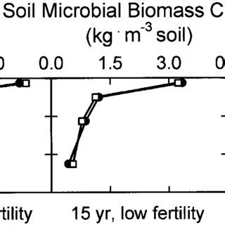 Soil Microbial Biomass C With Depth Under Tall Fescue As Affected By