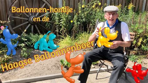 Ballonnen Hondjes En De Haagse Ballonnenboer Tips Webshop Voor