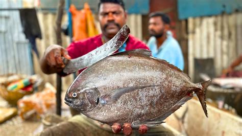 Kasimedu Speed Selvam Big Black Pomfret Fish Cutting In Kasimedu