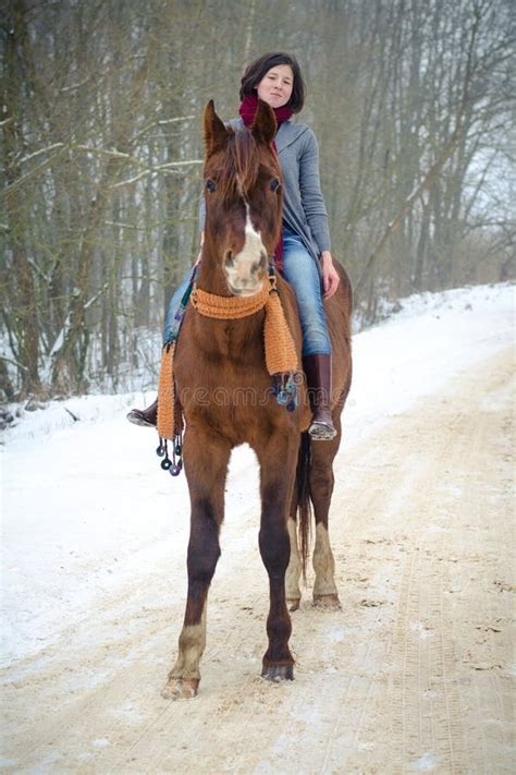 Girl Riding Red Trakehner Stallion Horse With Scarf In Winter Stock